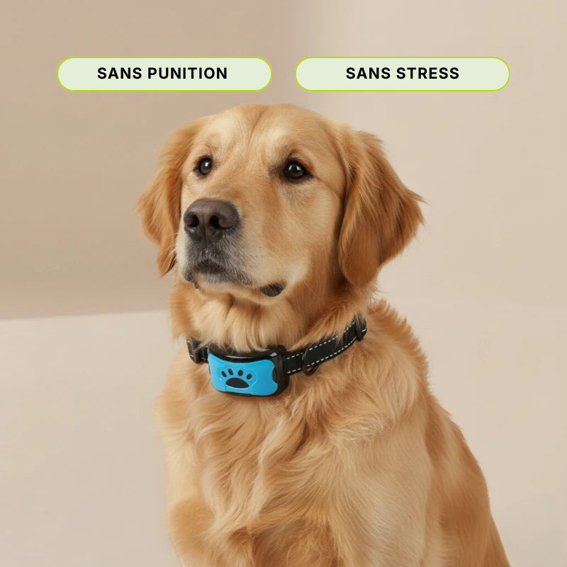 Collier anti aboiement - AUTOZEN™