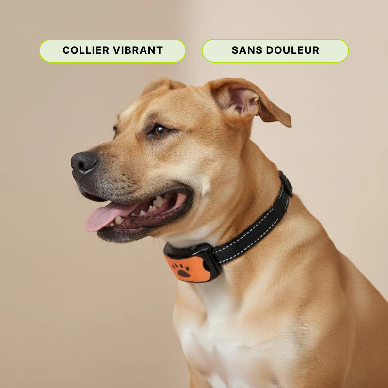 Collier anti aboiement - AUTOZEN™