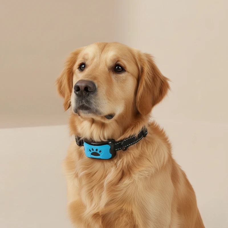 Collier anti aboiement - AUTOZEN™